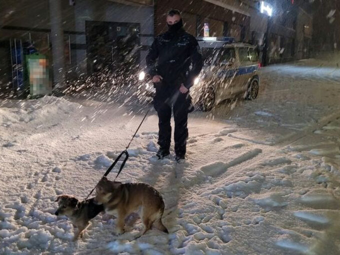 Warszawa Psy Zostawione Na Tydzie W Mieszkaniu Uratowa A Je Czujno