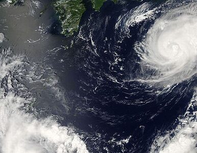 Miniatura: Tajfun zabija na Filipinach