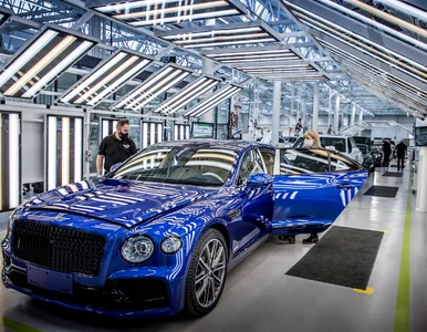 Miniatura: Wojna Rosja – Ukraina. Metale potrzebne do...