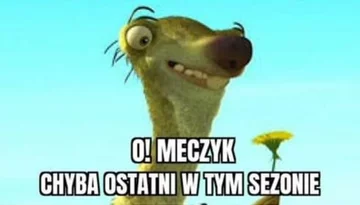 Mem po meczu Polski ze Szwecją 