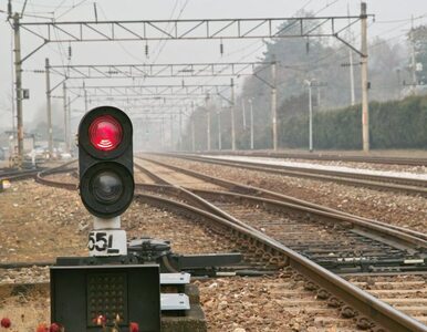 Miniatura: Ruch kolejowy wraca do normy