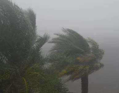 Miniatura: Potężne tornado nawiedziło popularny...