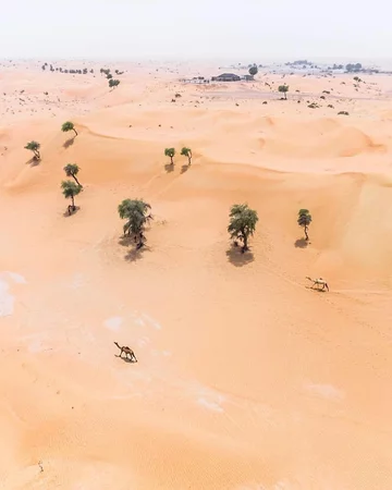 Pustynie w Zjednoczonych Emiratach Arabskich 