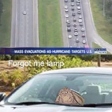 Mem z ćmą 