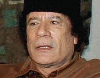Miniatura: "Kadafi jest żałosny. Rewolucja zwyciężyła"