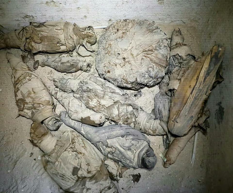 Mumie myszy, kotów i ptaków. Fascynujące znalezisko w Egipcie Odnalezione mumie zwierząt otaczały spoczywające w komorze grobowej ludzkie ciała