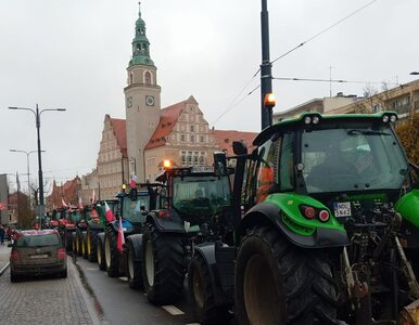 Miniatura: Kołodziejczak o ograniczeniach na wwóz...