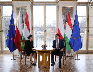 Węgry zmienią zdanie po szczycie B9? „Staramy się przekonywać i przyciągać”