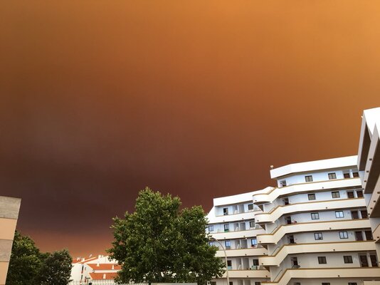 Miniatura: Brunatny dym przysłonił niebo nad...