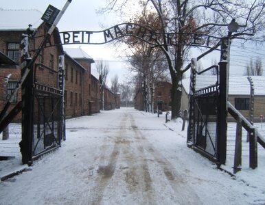 Miniatura: 69. rocznica wyzwolenia Auschwitz. Złożono...