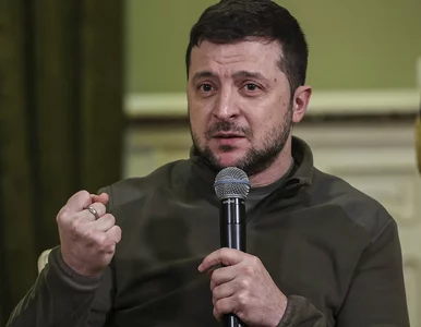 Miniatura: Wołodymyr Zełenski: Ukraina rozumie, że...