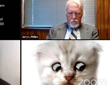 Miniatura: Prawnik dołączył do rozprawy online z...