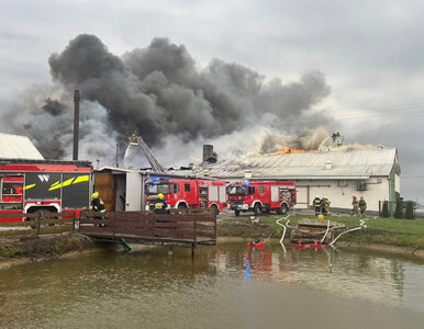 Miniatura: Pożar hali, zablokowana droga krajowa....
