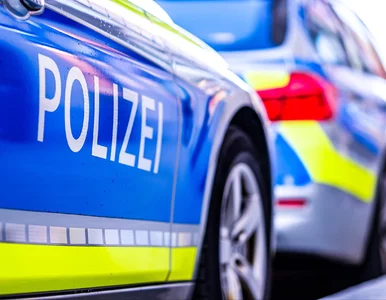 Miniatura: Wielki Bu zatrzymany. Czynności prowadzili...