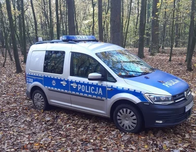 Miniatura: Finał poszukiwań Grzegorza Borysa?...