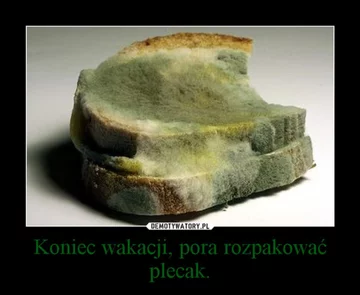 Zbliża się koniec wakacji. Internauci tworzą memy 