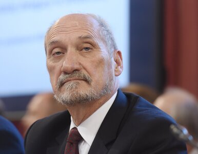 Miniatura: Macierewicz: Odpowiedzialność prawną Tuska...