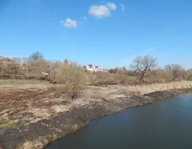 Miniatura: Usiłował przekroczyć granicę z Ukrainą....