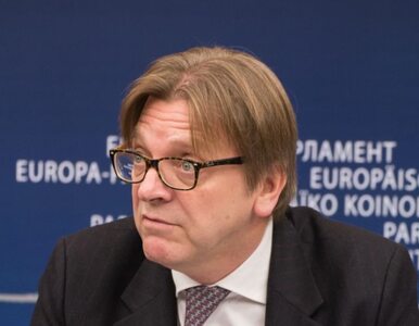 Miniatura: Verhofstadt uderza w PiS: Zegar w Polsce...