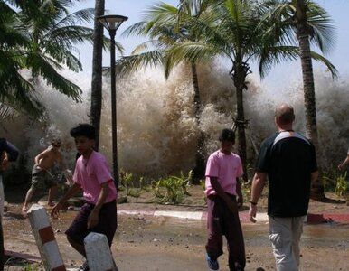 Miniatura: Indonezja: tsunami zabiło ponad 100 osób