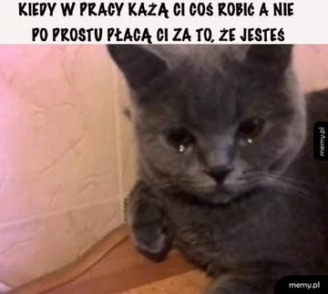Praca, praca i jeszcze raz praca. Internauci tworzą MEMY 