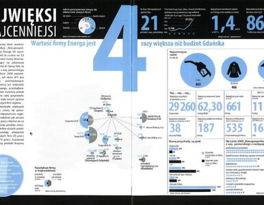 Miniatura: ENERGA najcenniejszą firmą na Pomorzu