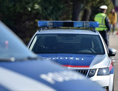 Miniatura: 10-latka porwana spod szkoły w Niemczech....