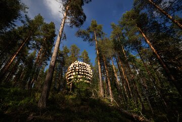 Biosphere, dom na&nbsp;drzewie z&nbsp;kompleksu Tree Hotel, proj. BIG