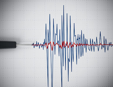 Miniatura: Silne trzęsienie ziemi na Krecie
