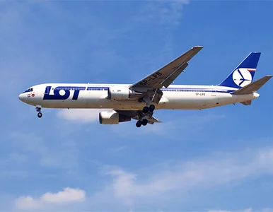 Miniatura: Kulisy reanimacji bankruta