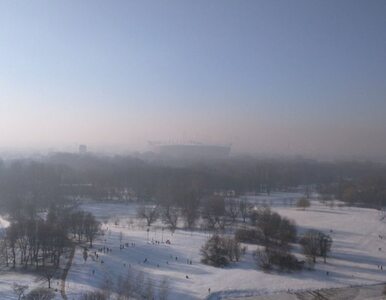 Miniatura: Smog w Warszawie. W poniedziałek darmowa...
