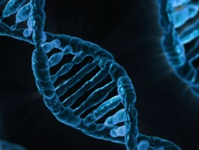 Miniatura: Czy płodność mamy zapisaną w DNA? Geny...