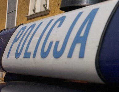 Miniatura: Lubelskie: policjanci zostali pobici