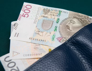 Miniatura: Godna pensja dla Polaka. Już wiadomo ile...