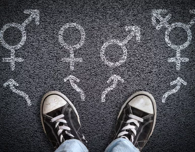 Miniatura: Terlikowski dla „Wprost”: W sprawie...