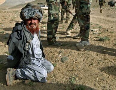 Miniatura: Amerykanie: talibowie? Pierwsze słyszę