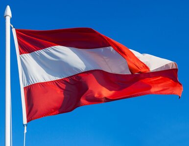 Miniatura: Austriacka Partia Wolności zaskarżyła...