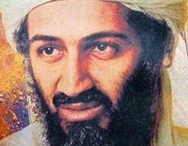 Miniatura: Bin Laden mózgiem planu ataków na...