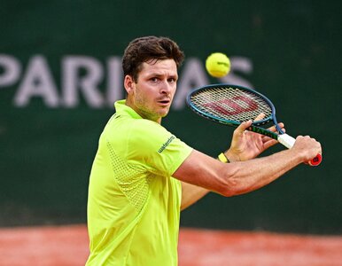 Miniatura: Hubert Hurkacz zdecydował, co dalej z jego...