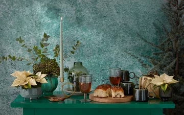 Poinsecja znana także jako gwiazda betlejemska 