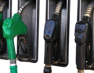 Miniatura: Analitycy: ceny paliw się ustabilizują