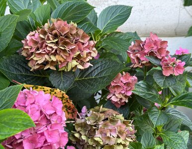 Miniatura: Masz czas tylko do połowy listopada! Tak...