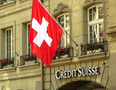 Miniatura: Szwajcaria mięknie w kwestii mrożenia...