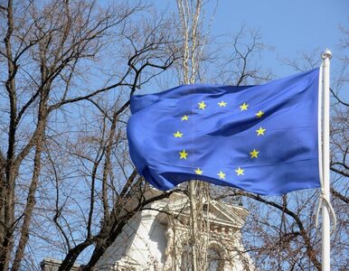 Miniatura: Zybertowicz: UE zaniedbała politykę...