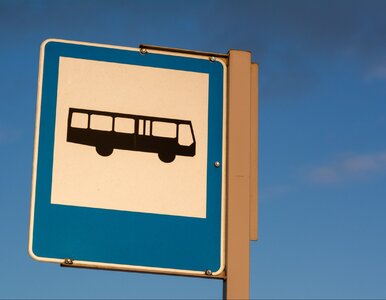 Miniatura: Autobusem bez biletu. Polskie miasto...