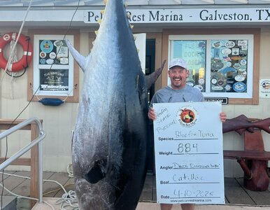 Miniatura: Wędkarz pobił rekord, złowił „rybę...