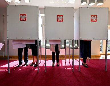 Miniatura: NA ŻYWO: Wybory samorządowe 2024....