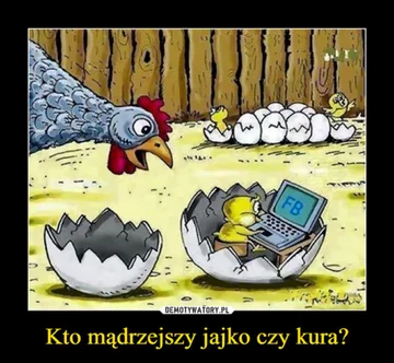 Świąteczne memy 