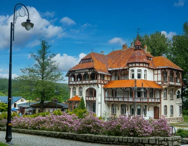 Miniatura: Perełka Dolnego Śląska z rabatami. To...
