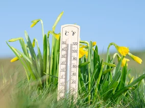 Miniatura: Uważasz się za mistrza przysłów? Ten QUIZ...